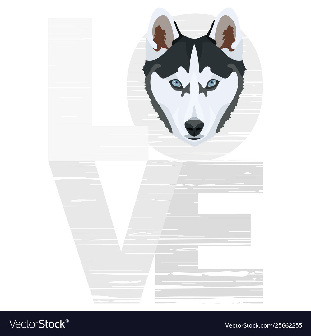 хаски любовь текст. хаски любовь текст. хаски любовь текст. хаски любовь текст. высказывания про хаски.