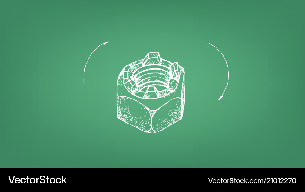 Sketch castle nut and screw on blueprint Vector Image
