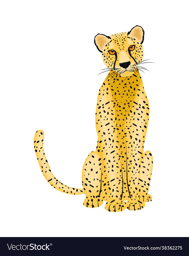 Cute leopard cartoon Royalty Free Vector Image