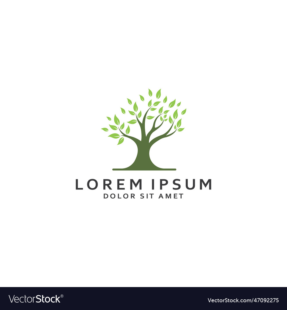 Living tree logo design using a template concept Vector Image