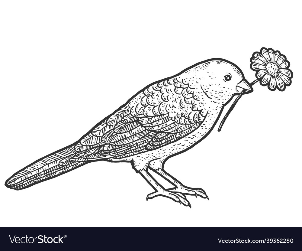 Bird holds in its beak a flower sketch scratch Vector Image