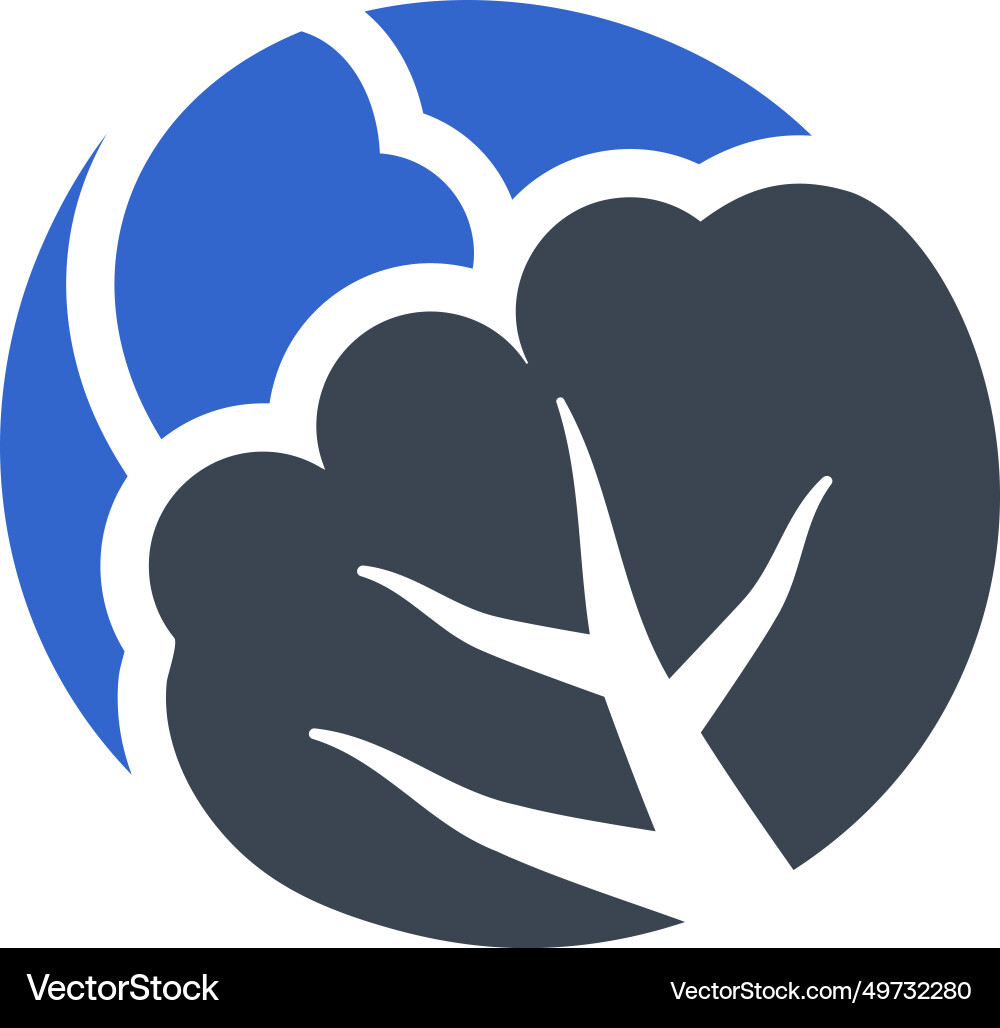 Cabbage icon Royalty Free Vector Image - VectorStock