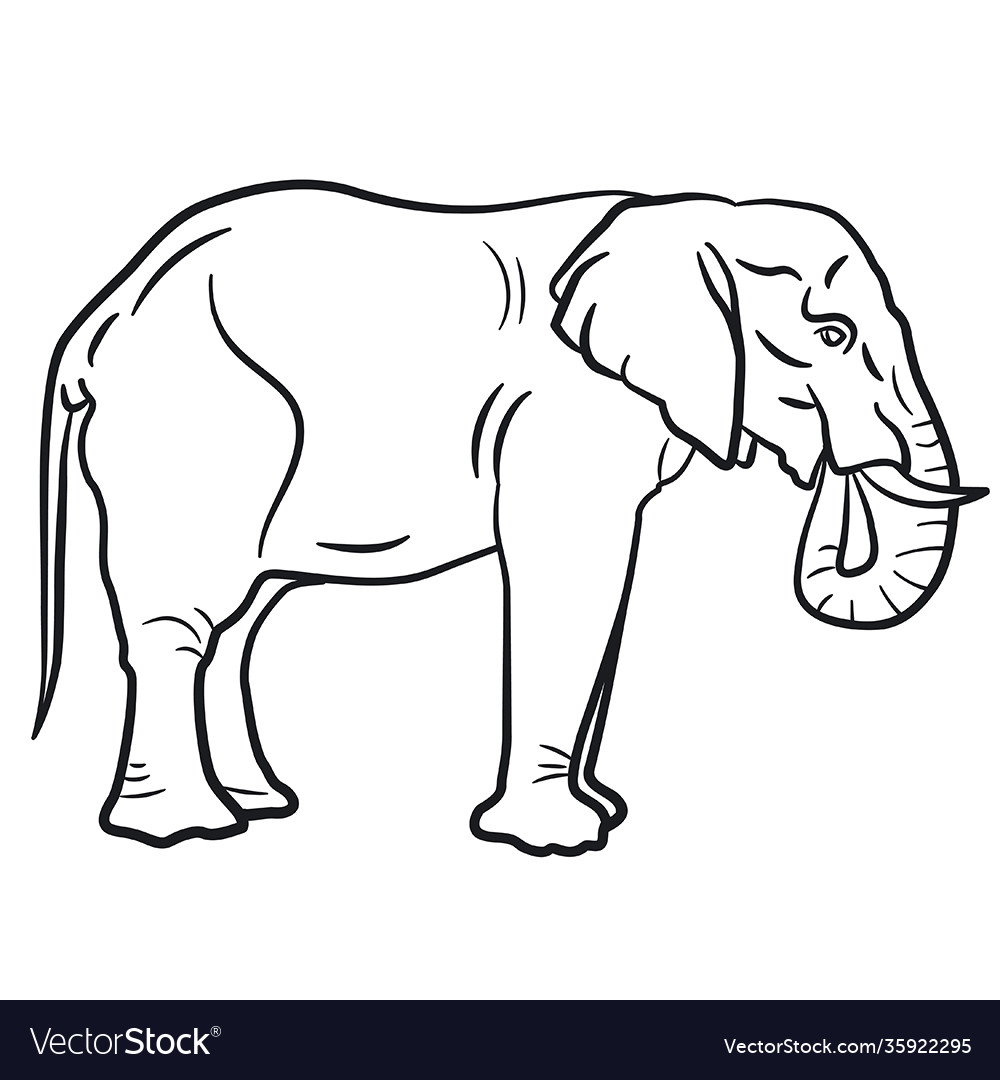 Big elephant Royalty Free Vector Image - VectorStock