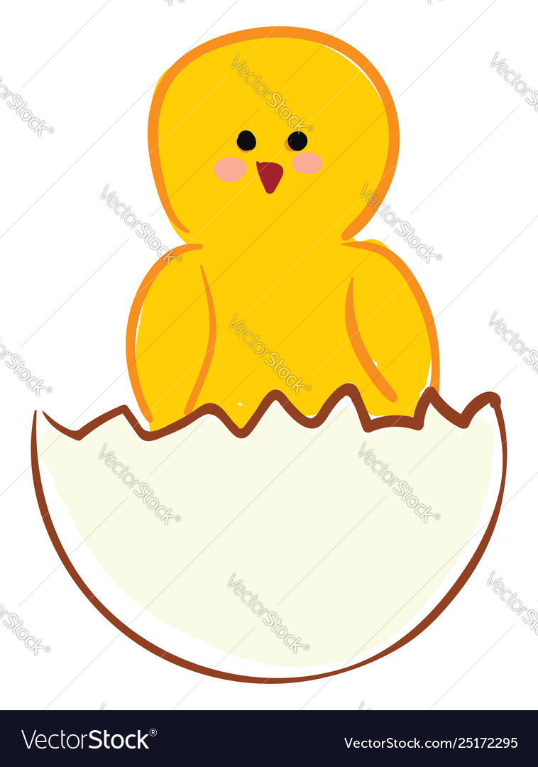 Chick from egg or color Royalty Free Vector Image