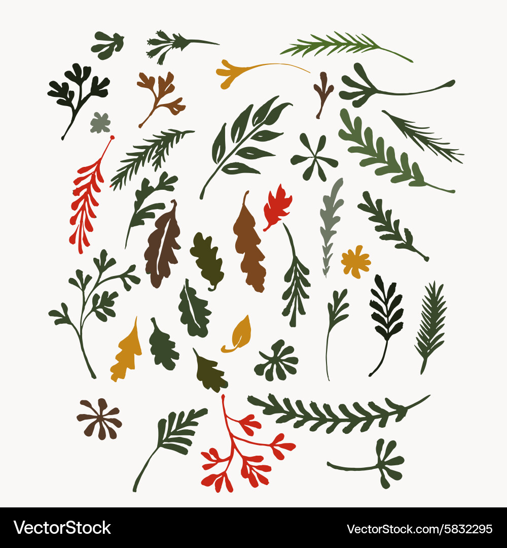 Set floral elements Royalty Free Vector Image - VectorStock