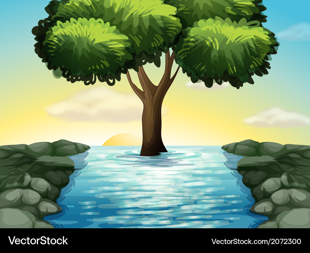 A big tree in the middle of river Royalty Free Vector Image