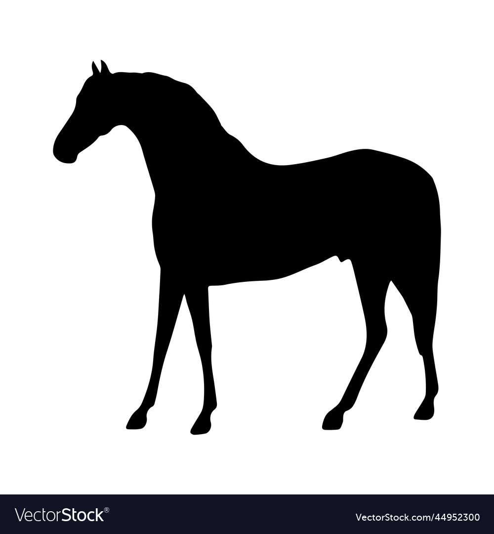 Horse black silhouette Royalty Free Vector Image