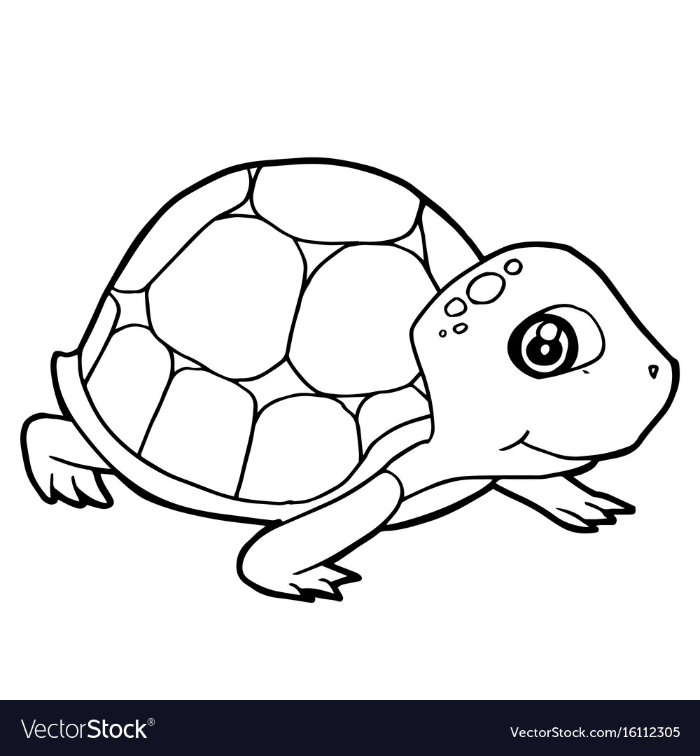 cute coloring pages of turtles