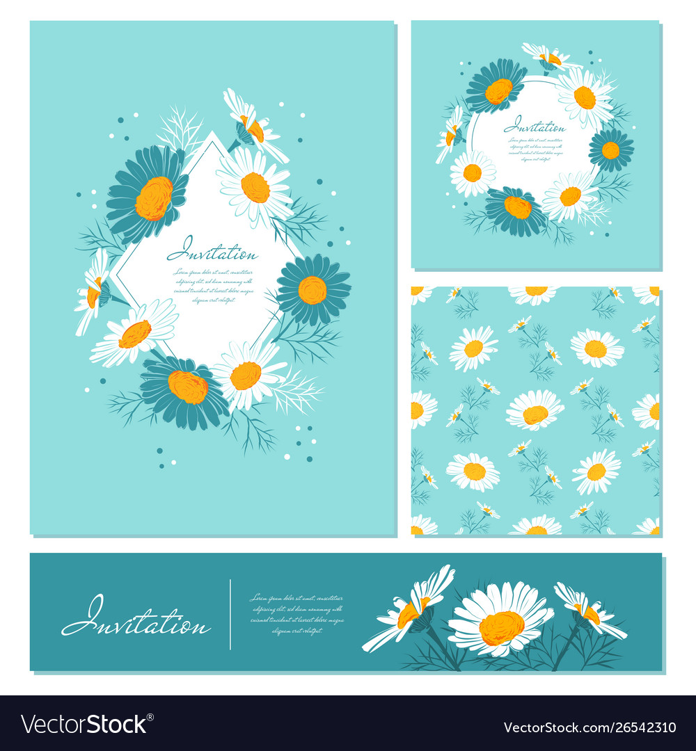 Flowers cards set chamomile background daisy Vector Image