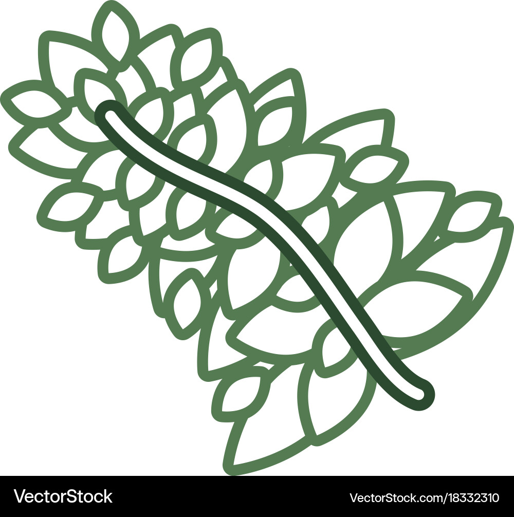 Leaves Royalty Free Vector Image - VectorStock
