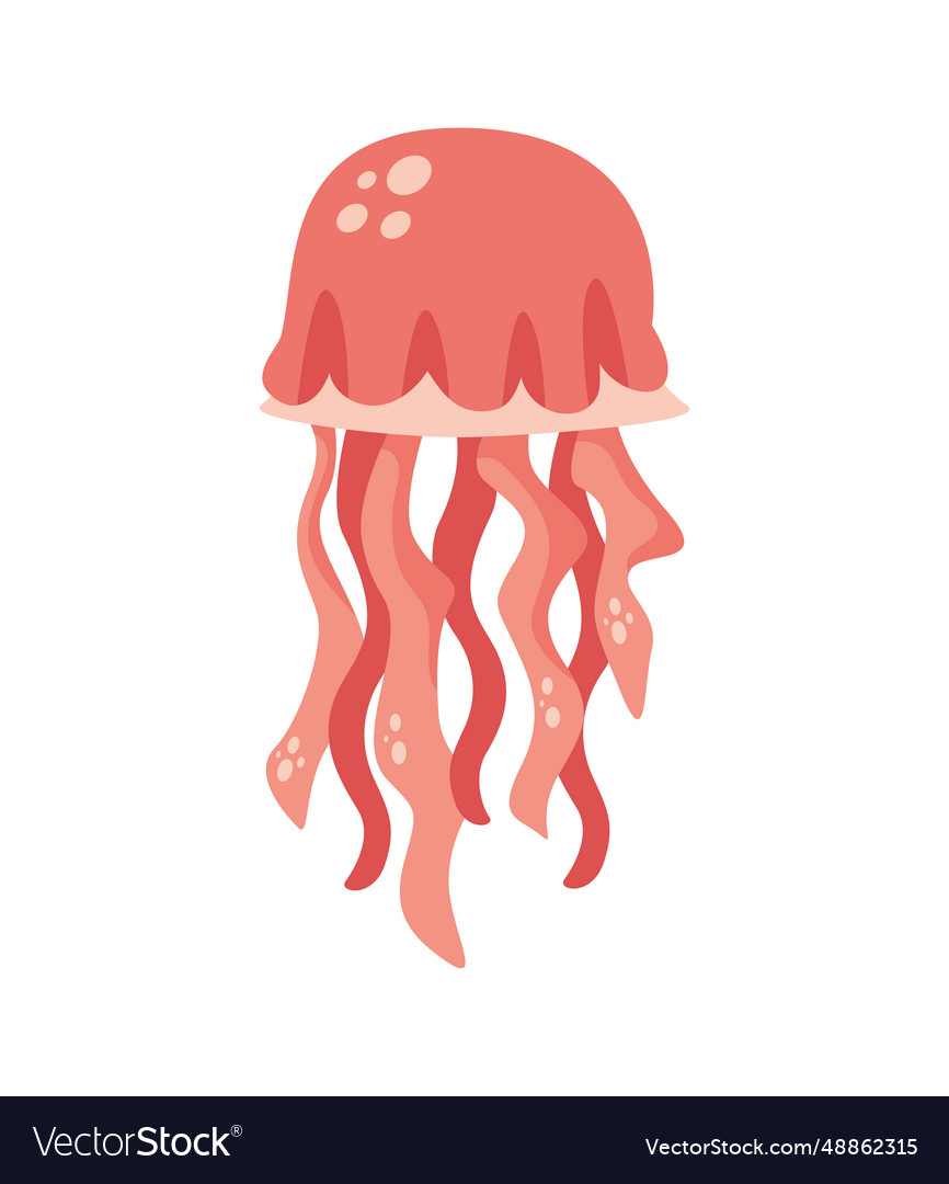 Red jellyfish Royalty Free Vector Image - VectorStock