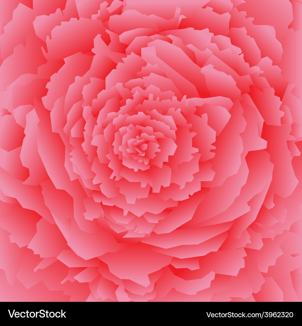 Abstract rose background Royalty Free Vector Image