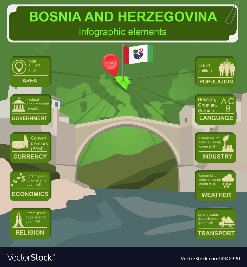 Bosnia and herzegovina infographics statistical Vector Image