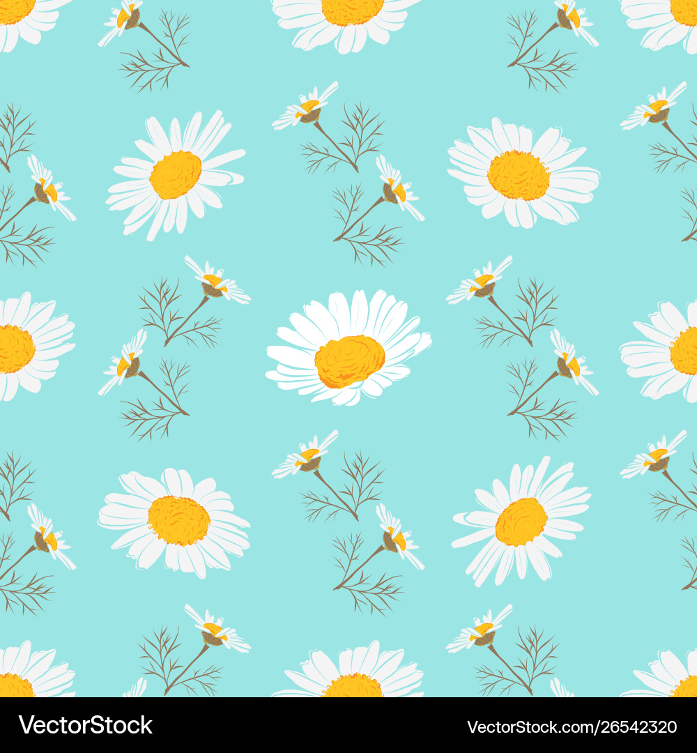 Daisy seamless pattern chamomile background Vector Image