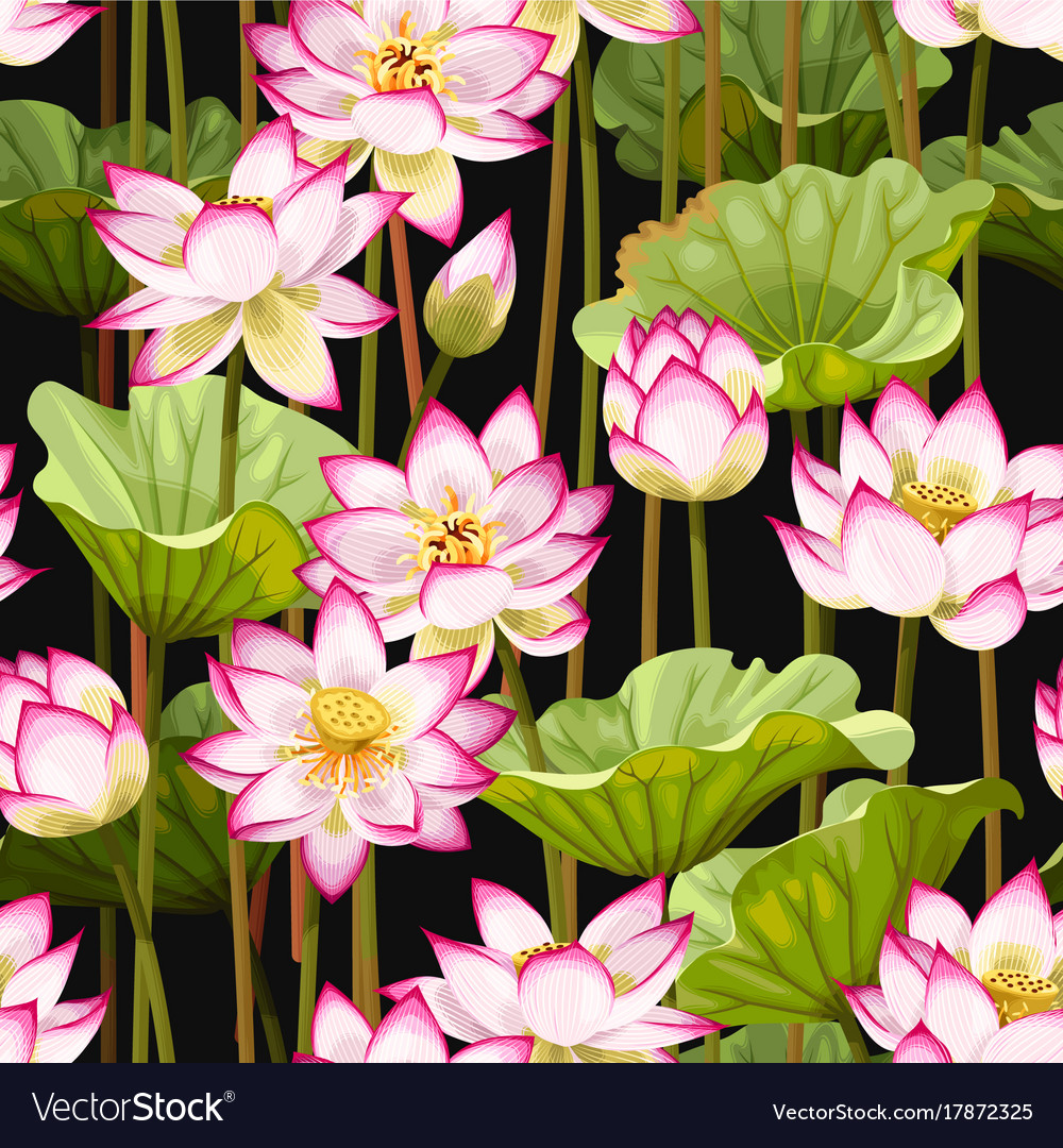 Seamless pattern with lotus flowers Royalty Free Vector