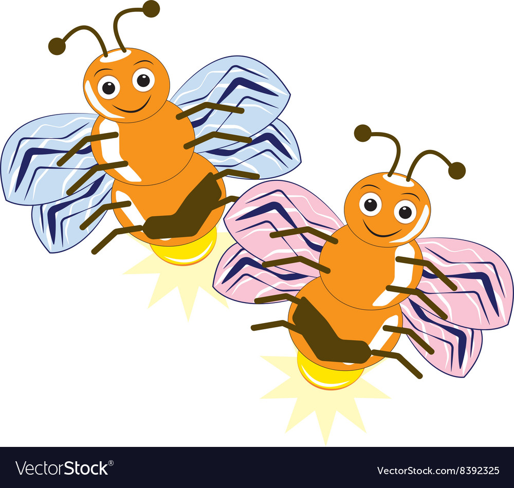 Two fireflies Royalty Free Vector Image - VectorStock