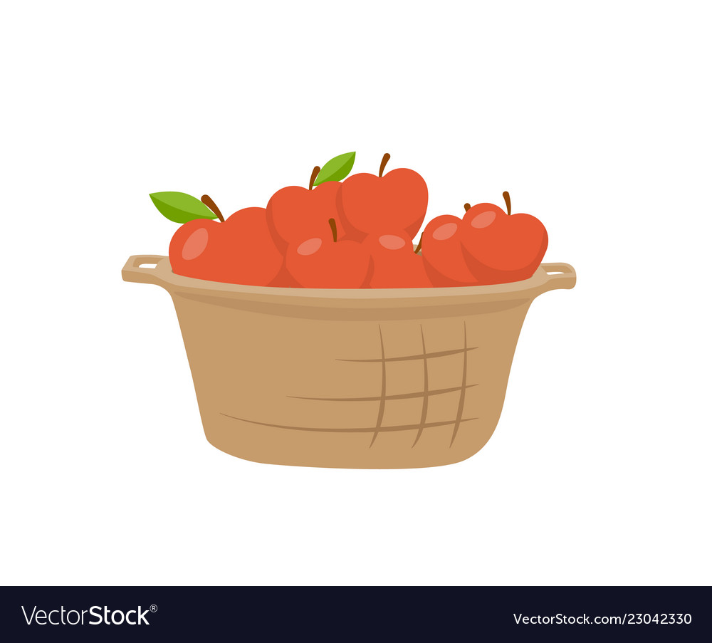stylé en basket