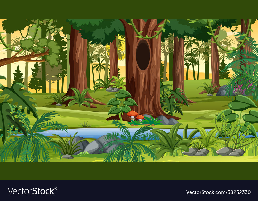 Forest landscape scene at sunset time with many Vector Image