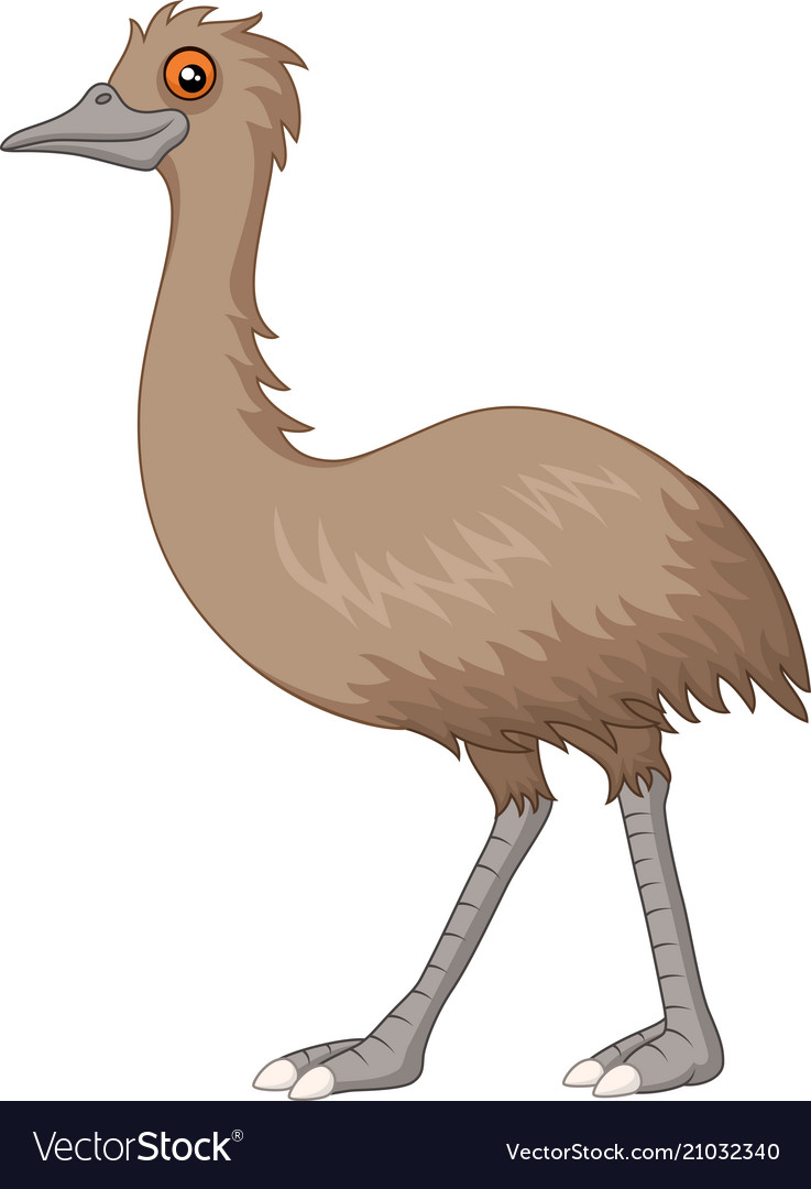 Cartoon emu isolated on white background Vector Image