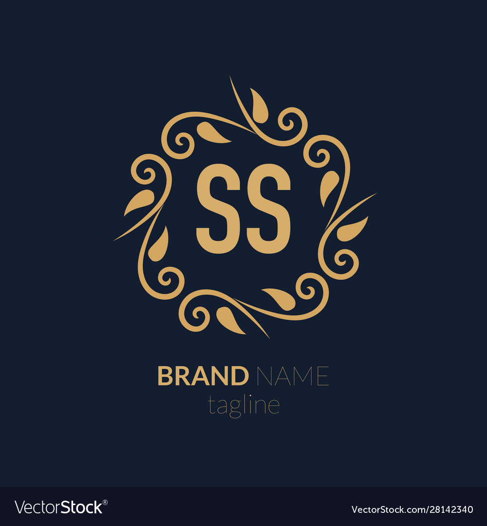 initial-letter-ss-creative-elegant-logo-template-vector-image