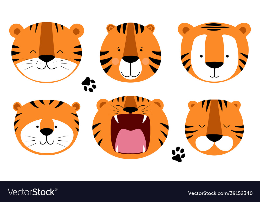 Set funny head tigers Royalty Free Vector Image