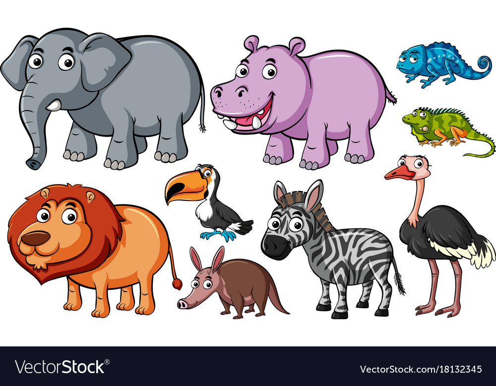 Different kinds of animals on white background Vector Image Different kinds of animals on white background Vector Image