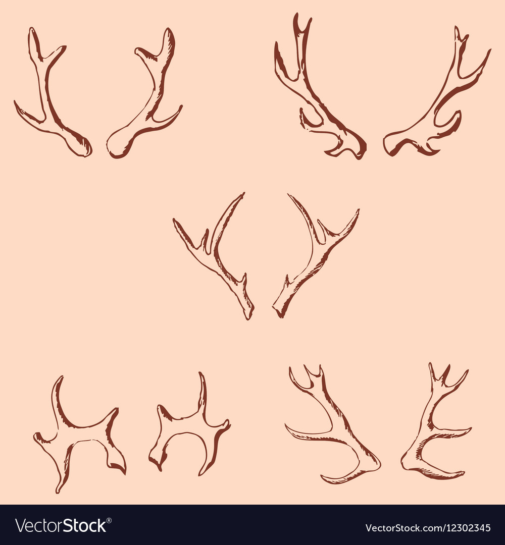 horn sketch of a deer pencil drawing by hand vector image deer pencil drawings