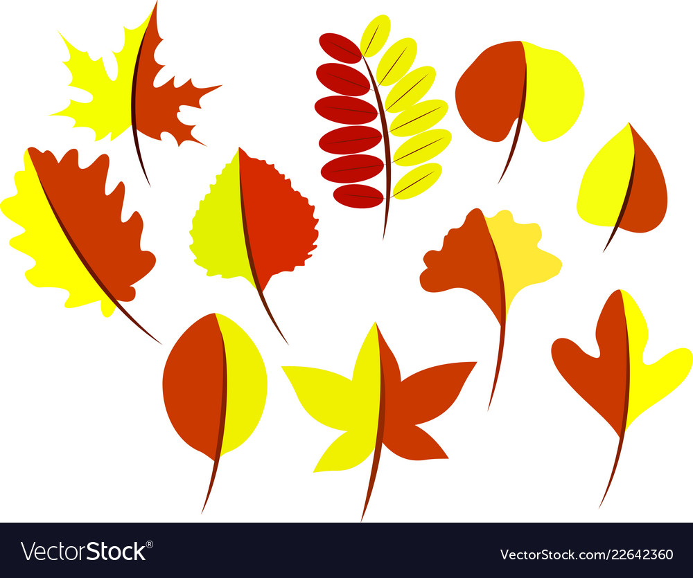 Autumn leaves of a tree Royalty Free Vector Image