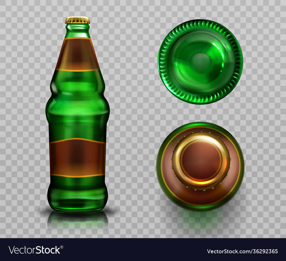 Beer bottle top and bottom view alcohol drink Vector Image