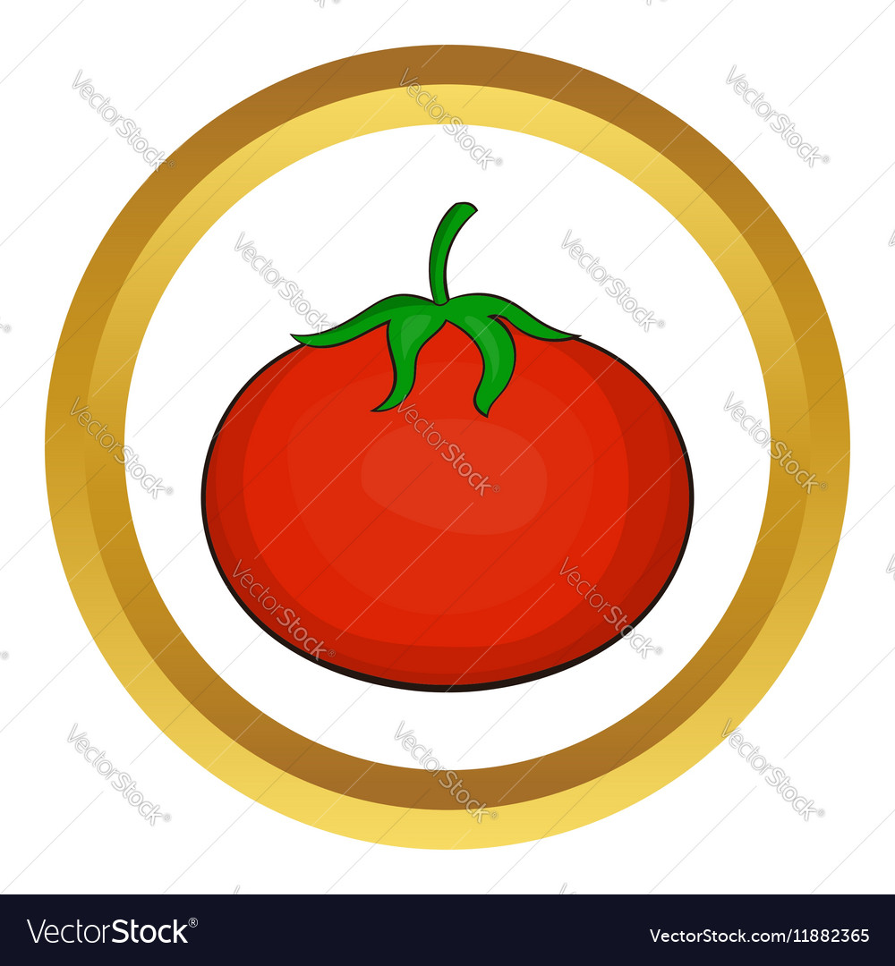 Tomato icon Royalty Free Vector Image - VectorStock