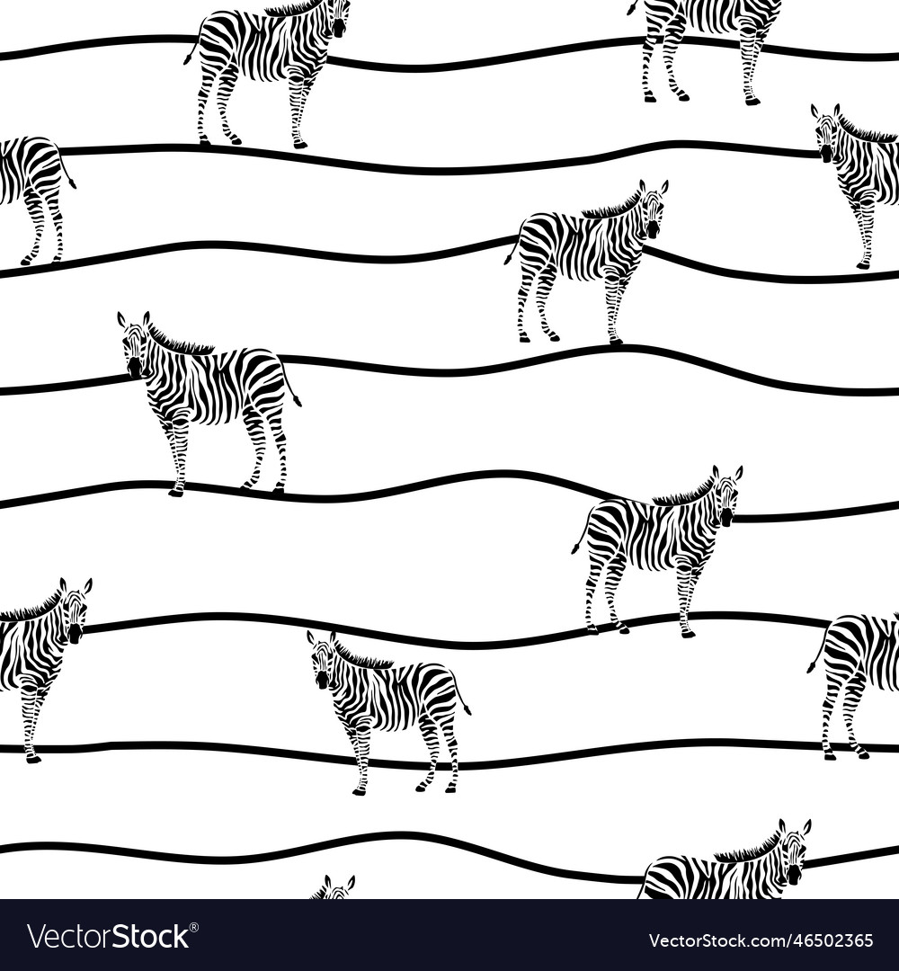 Zebra seamless texture on strip background