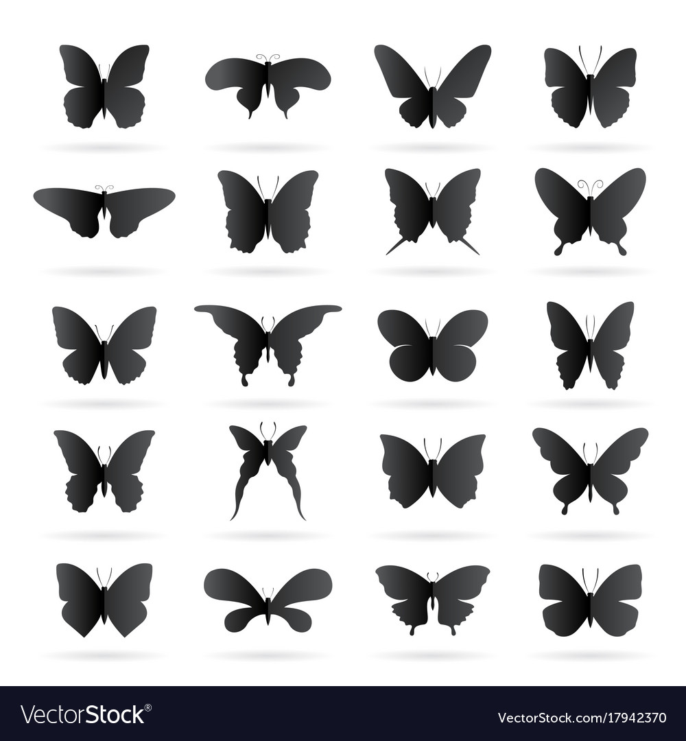 Group of black butterfly on white background Vector Image