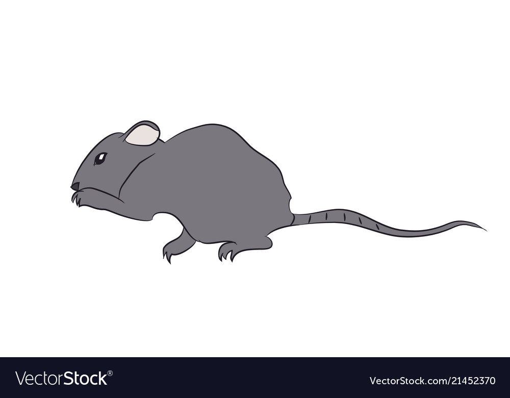 Mouse sits Royalty Free Vector Image - VectorStock