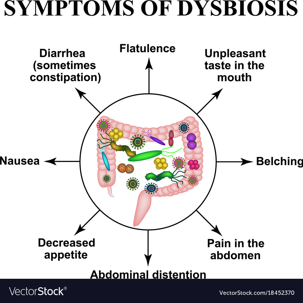 Symptoms dysbiosis dysbacteriosis intestine colon Vector Image