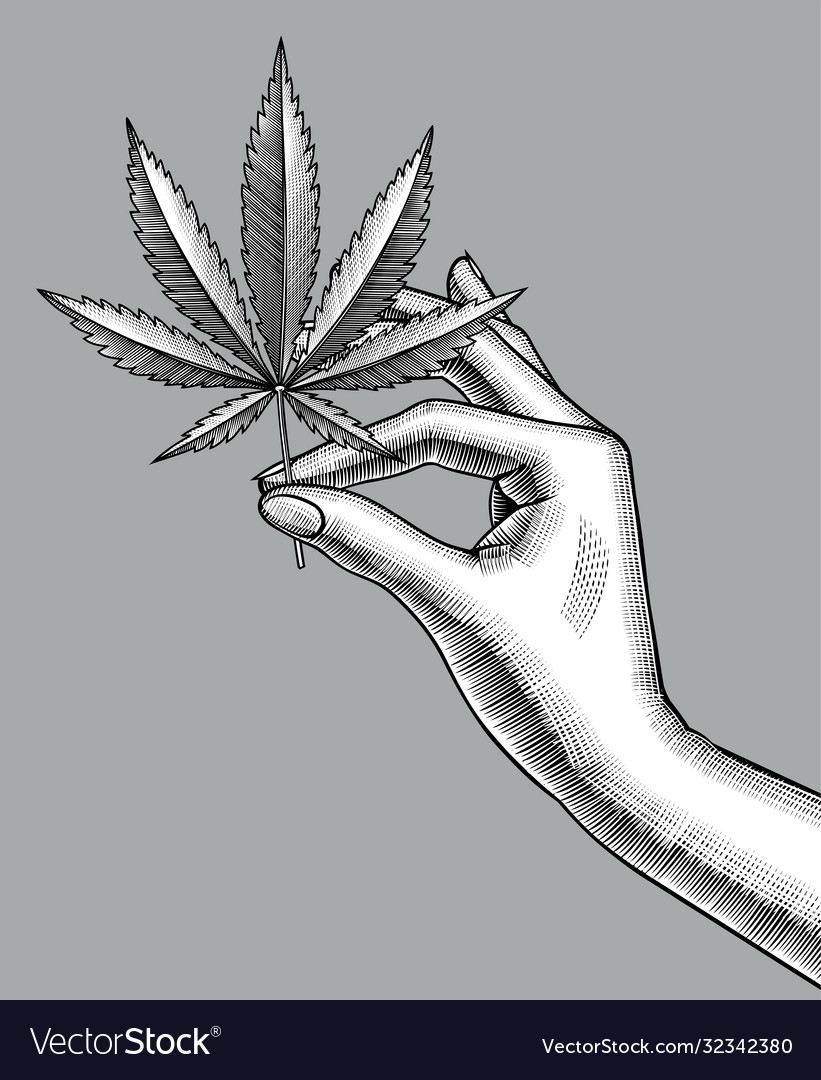 Female hand with a cannabis leaf Royalty Free Vector Image