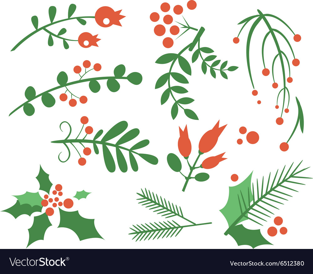 Red berries branches fir and leaves Royalty Free Vector