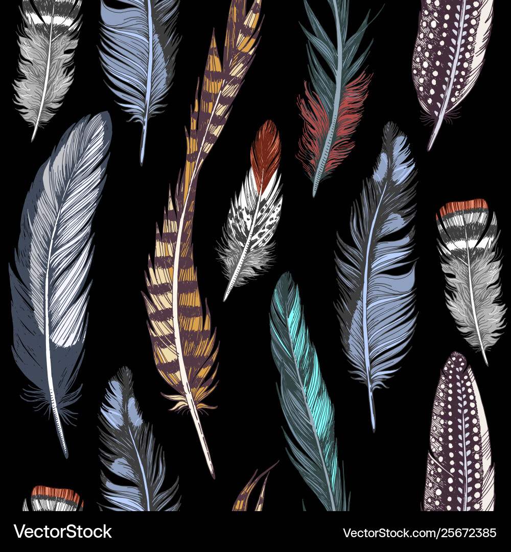 Seamless pattern with hand drawn feathers Vector Image