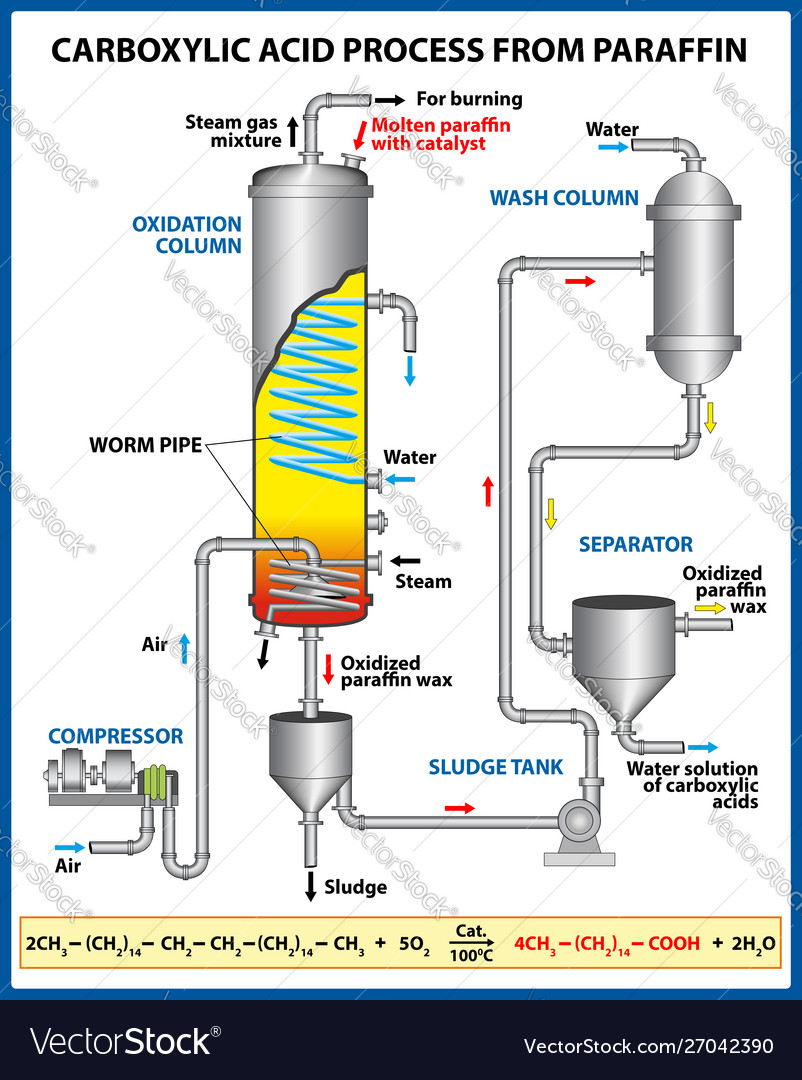 Carboxylic acid process from paraffin