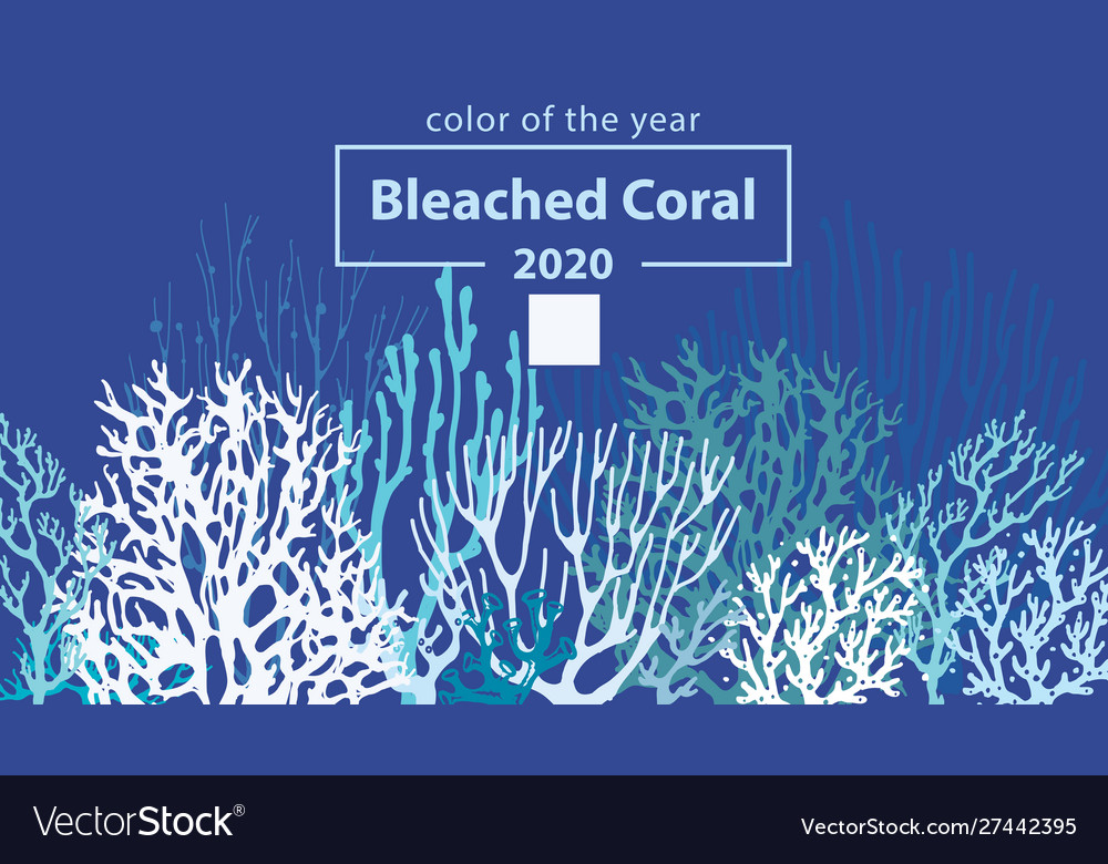 Корал 2020. Эмблема coreldraw. Корал 2020. Coreldraw. Корал 2020.