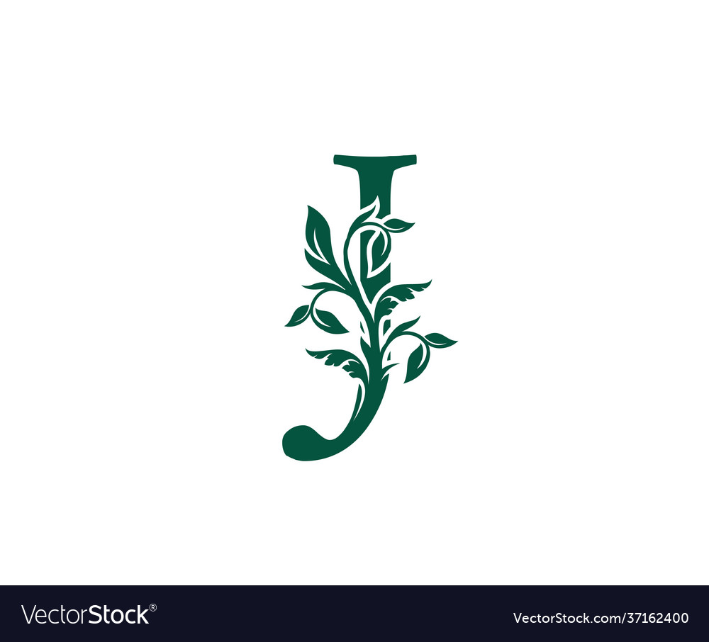 Nature j letter floral logo vintage classic Vector Image