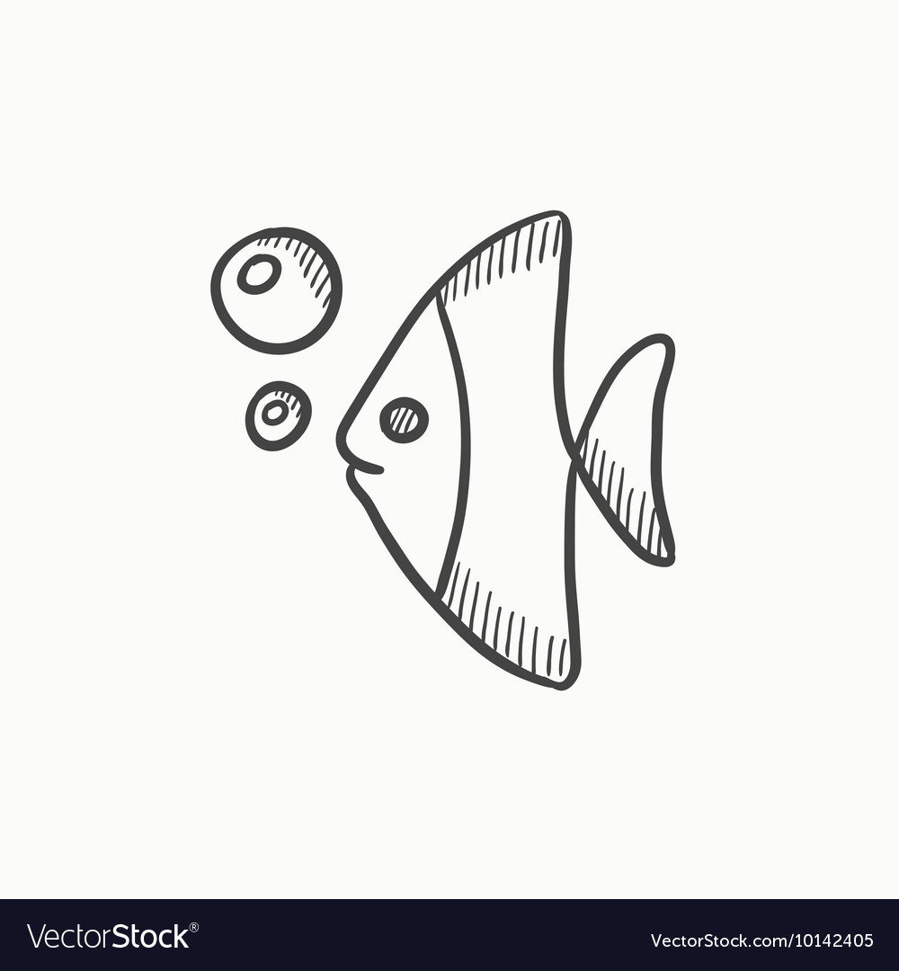 Fish line drawing Royalty Free Vector Image - VectorStock