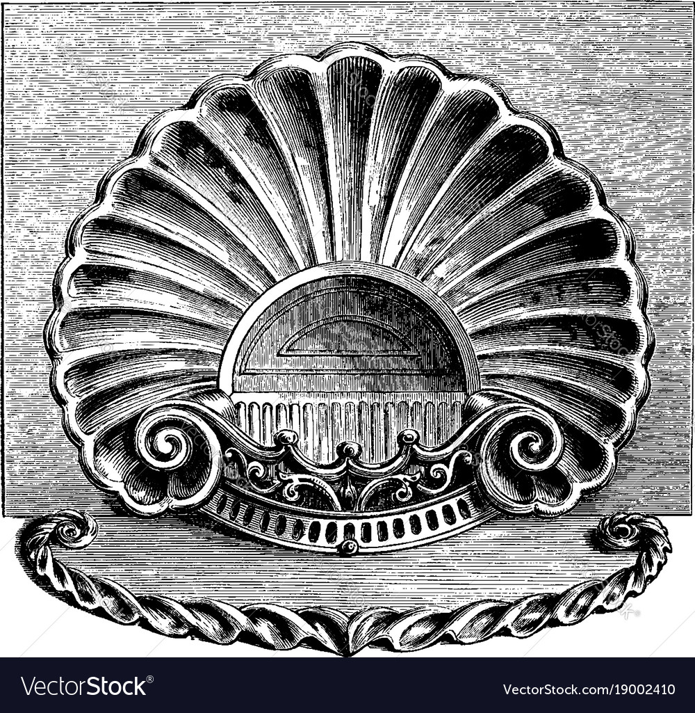 Engraving is in the style of a sea shell vintage Vector Image