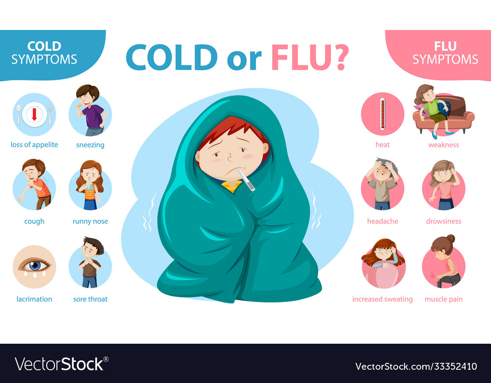 Medical infographic cold and flu symptoms Vector Image