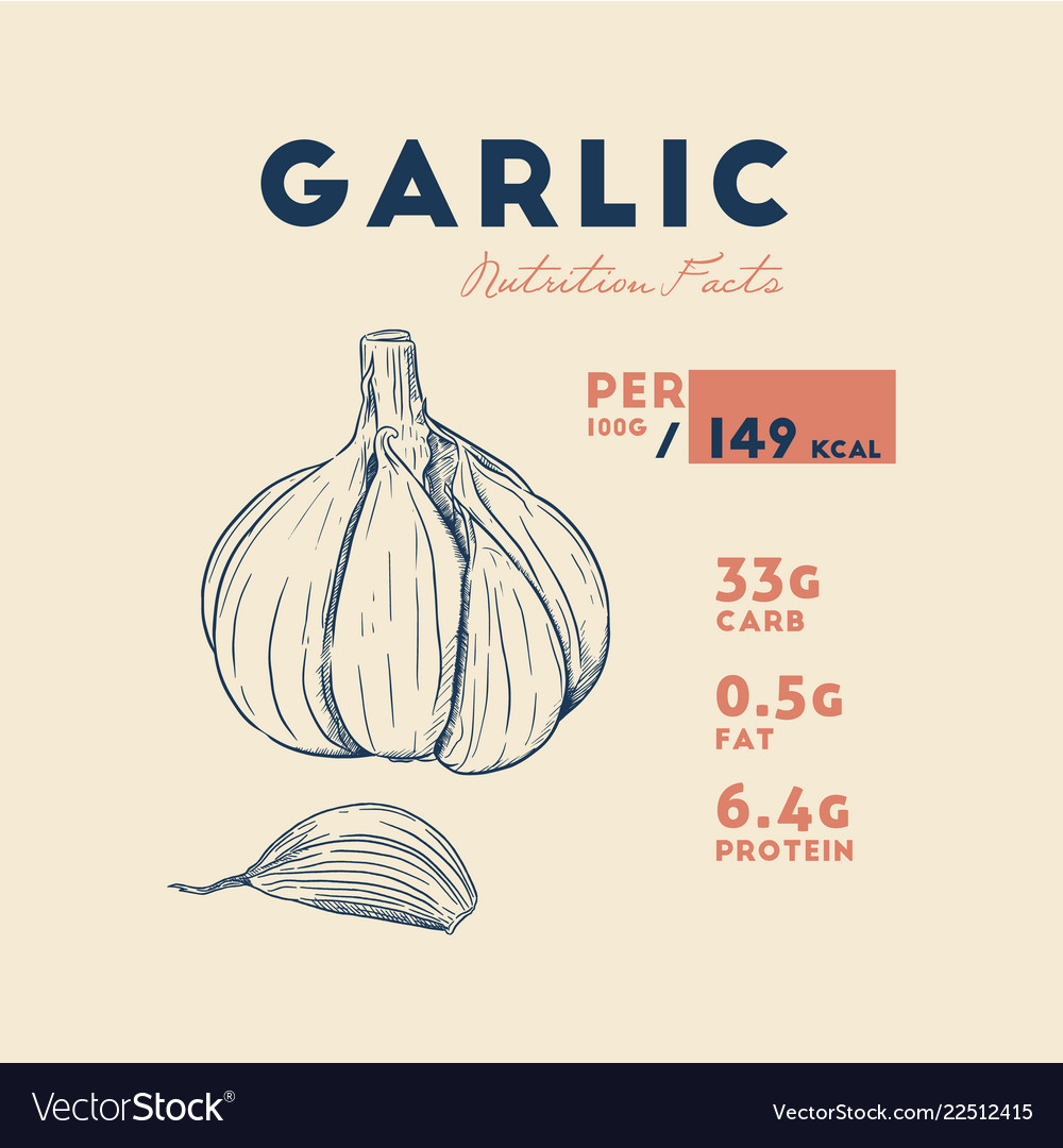 health-benefits-of-garlic-nutrition-facts-hand-vector-image