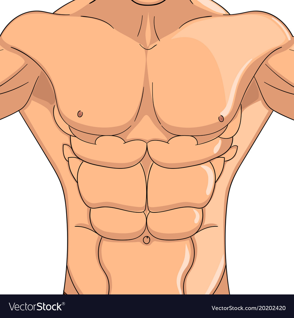 The Abdominal Muscles Fit Icon Stock Vector - Illustration of