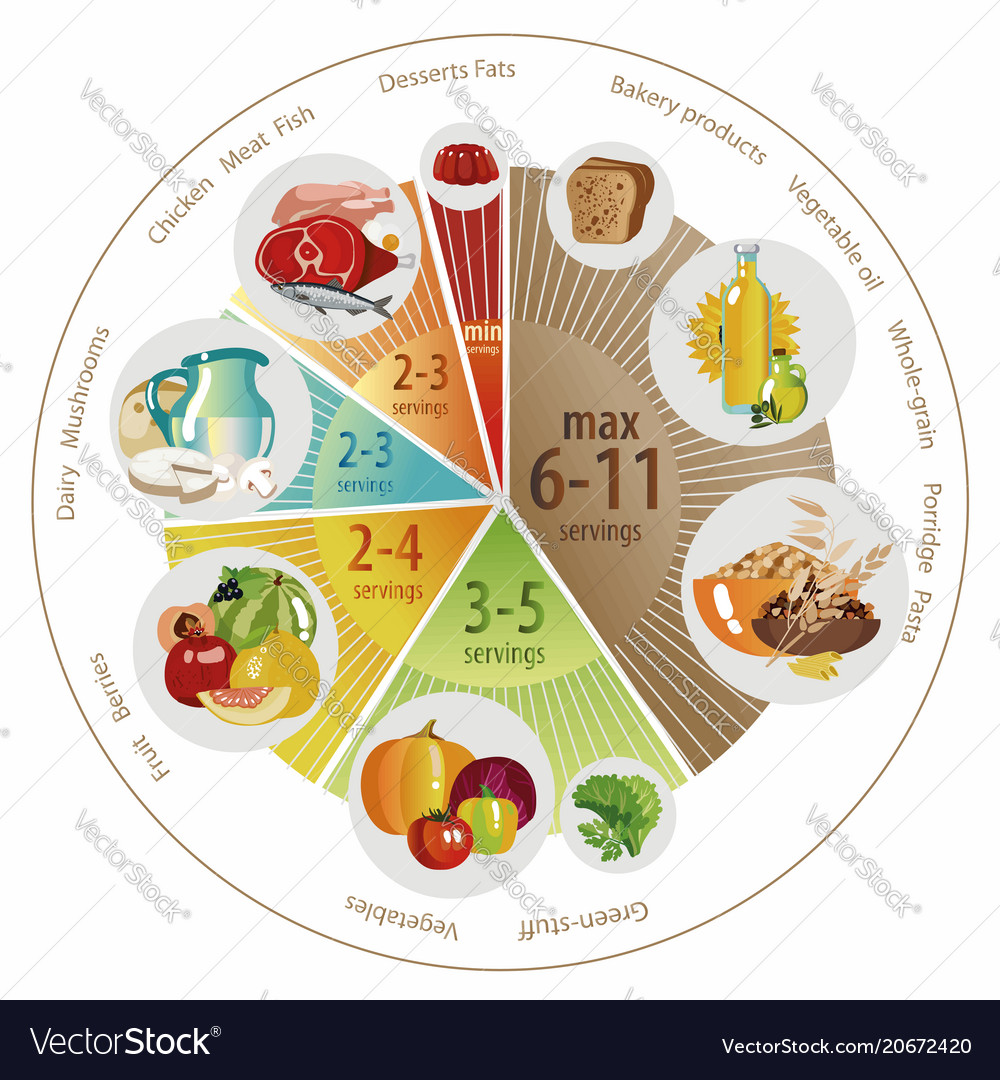 Food Pyramid Pie Chart