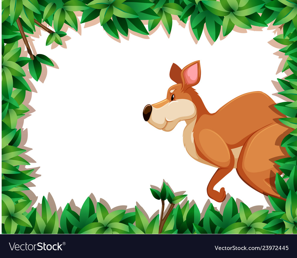 Kangaroo nature frame border Royalty Free Vector Image