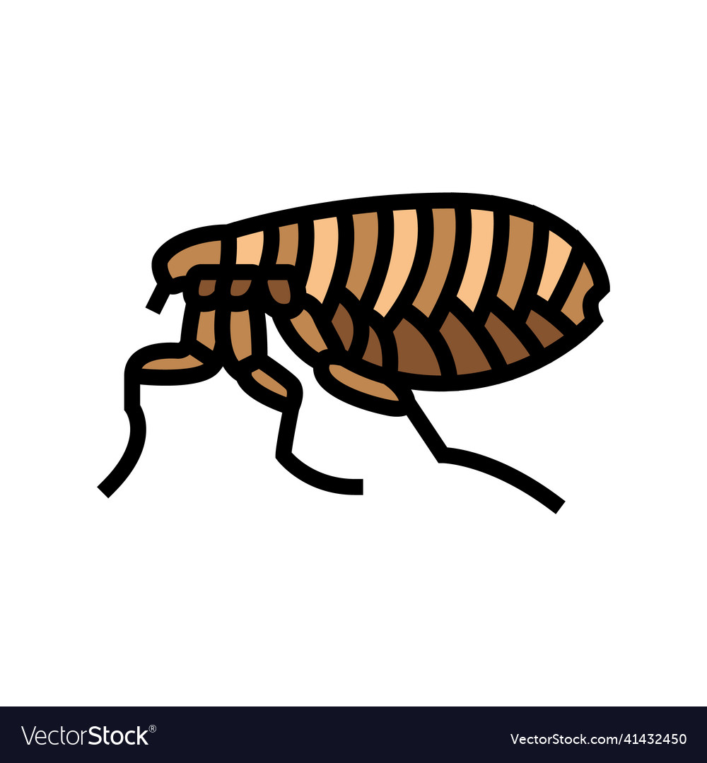 Flea insect color icon