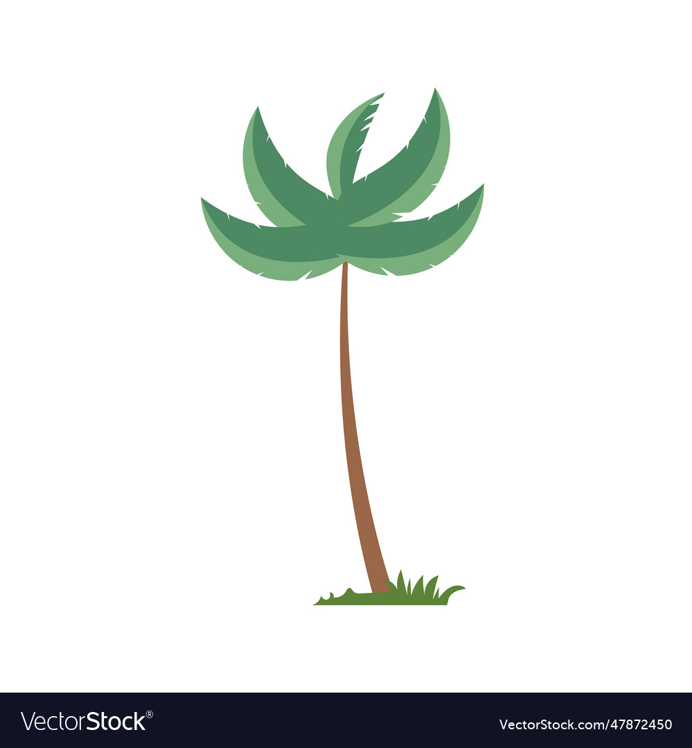 Palm tree in flat design style Royalty Free Vector Image