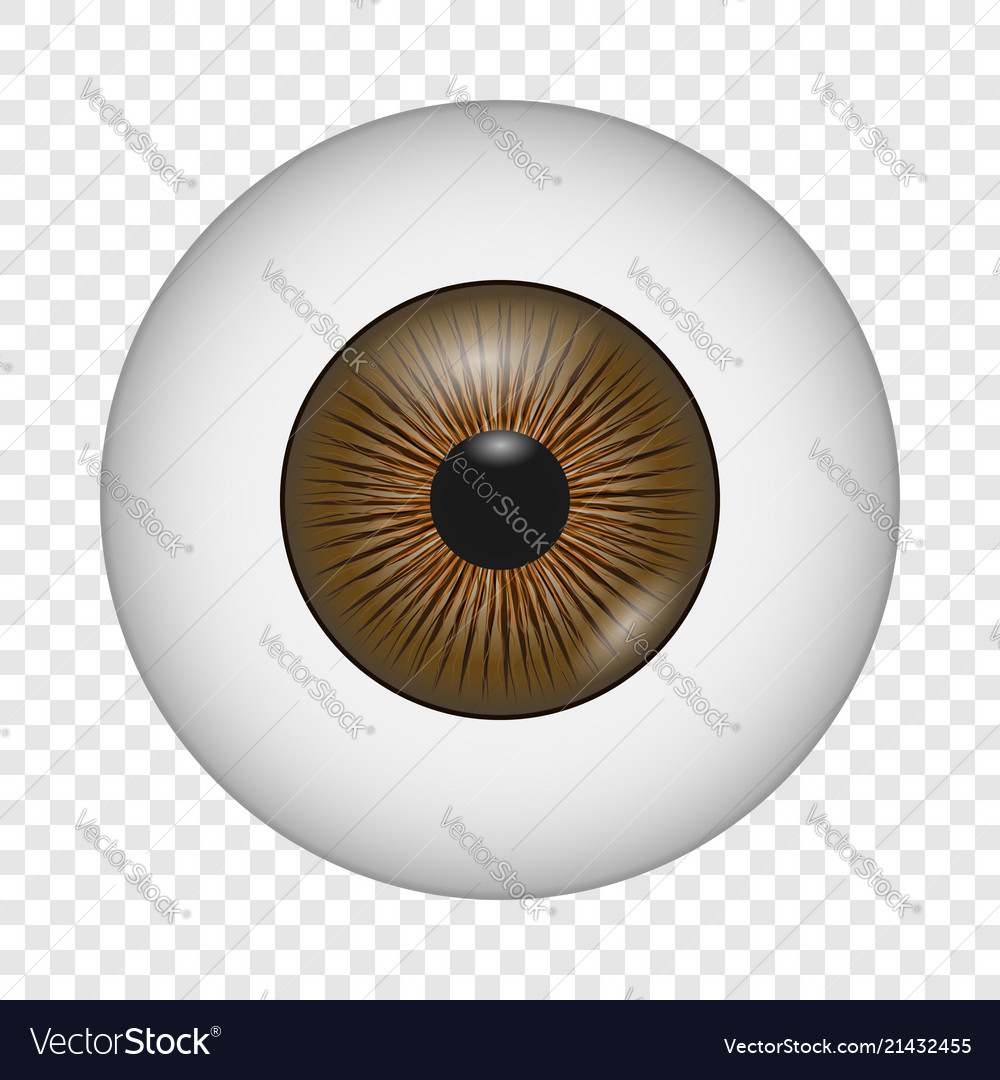 Eye lens icon realistic style Royalty Free Vector Image